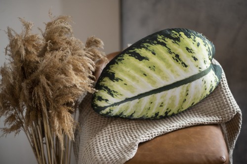 calathea.jpg