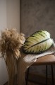 lisc calathea.jpg