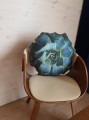 aloes2.jpg