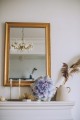 succulent perla6.jpg