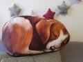 beagle.jpg