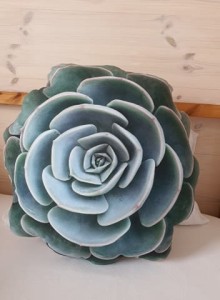 Poduszka dekoracyjna Zielony Sukulent 35 cm
