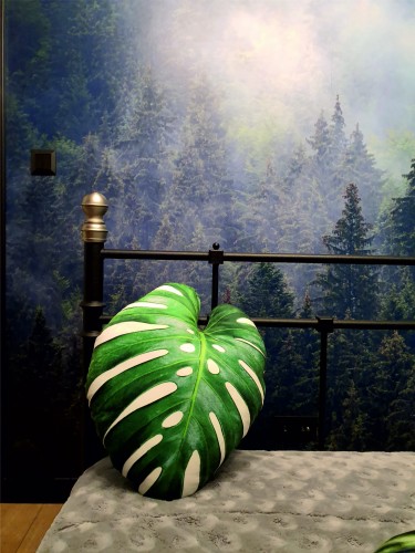monstera .jpg