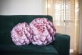 SFF_2564.JPG